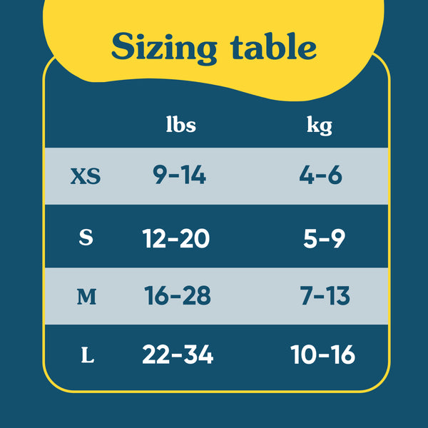 Reusable Training Pants Snaps - Mr Dragon