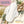 3 Feminine Pads - Pink Forest