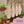 3 Feminine Pads - Pink Forest
