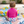 Reusable Swim Diaper Snaps - Lady Dragon